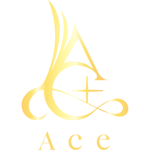 合同会社Ace